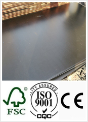 21mm Construction Plywood with Black Film (HBC001)