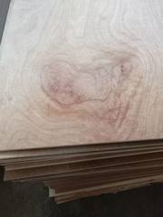 18mm Meranti Plywood Poplar Core E1 Glue BB/CC Grade