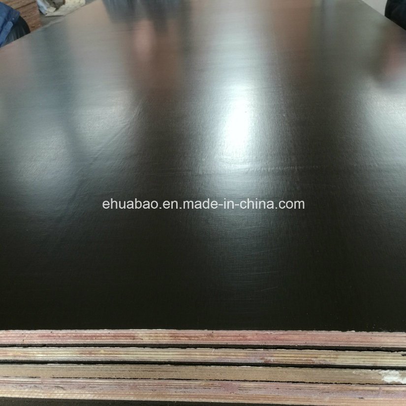21mm Birch Core Film Faced Plywood