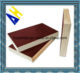18mm Brown Film Faced Plywood Shuttering Plywood Made in Linyi City Shandong Province China