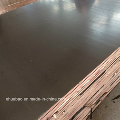 18mm Korindo Quality of Film Faced Plywood Board in China