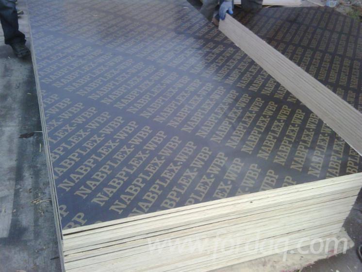 Brown Color Film Faced Plywood with Logoes for Construction