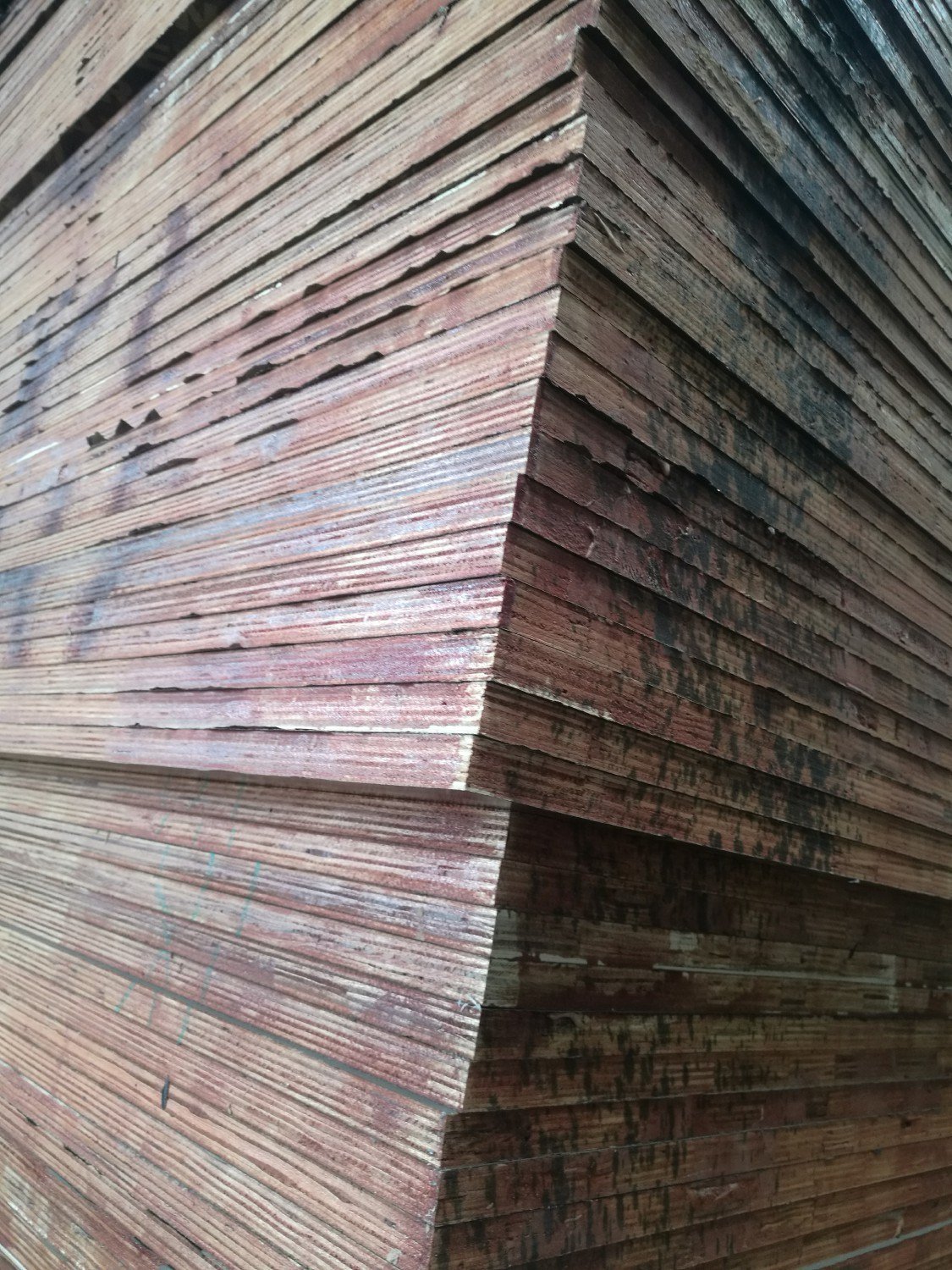 Construction Grade Film Faced Plywood