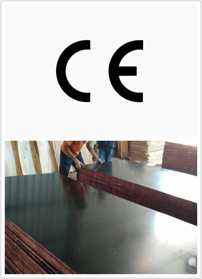 21mm Film Faced Plywood with CE Certificate