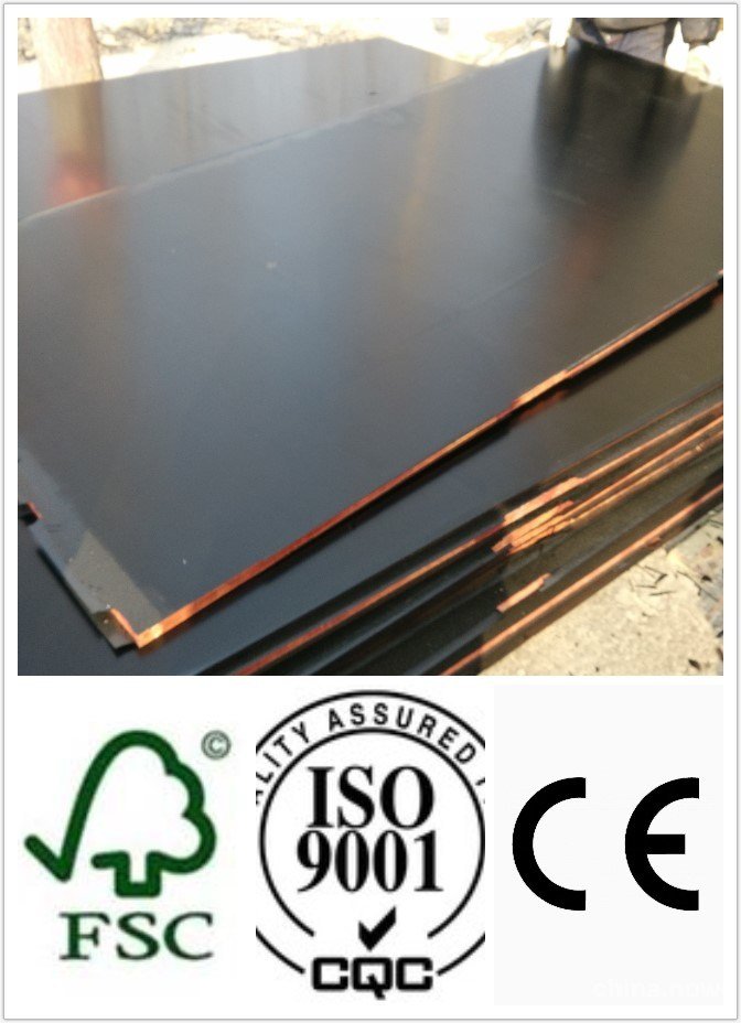 1250*2500mm Size Black Film Faced Plywood First Grade