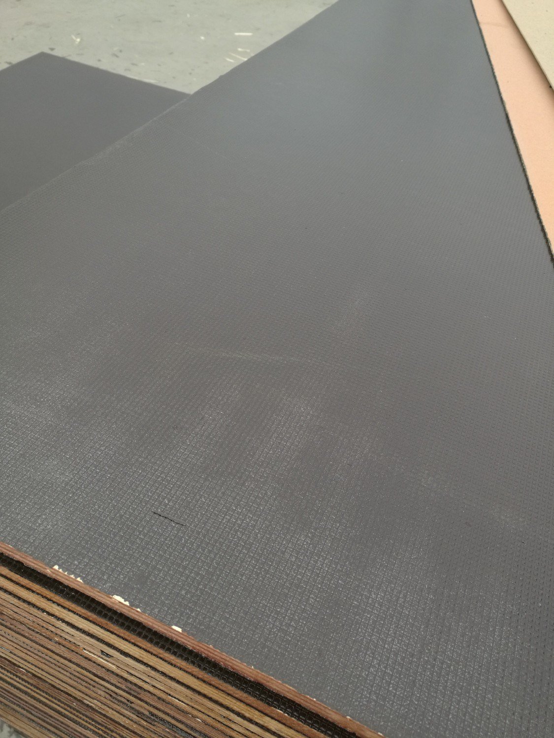Hexa Plywoo/Wiremesh Film Faced Plywood