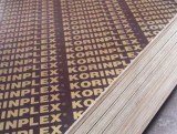 WBP Marine Plywood Poplar Core Black Film First Grade